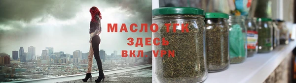 гашик Новозыбков