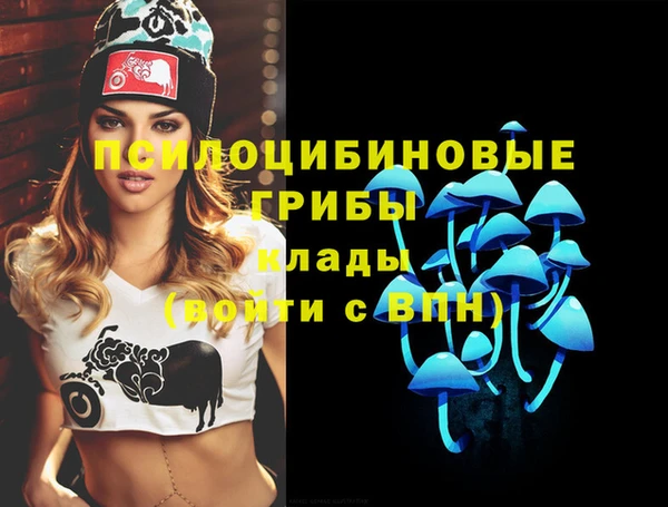 мяу мяу мука Новодвинск