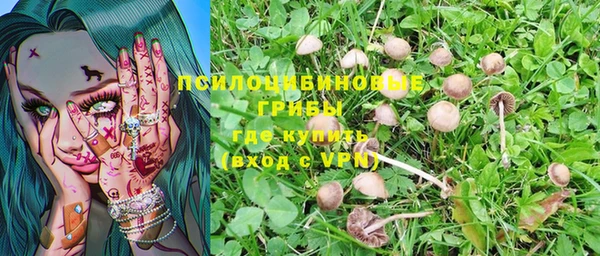 марки nbome Алзамай