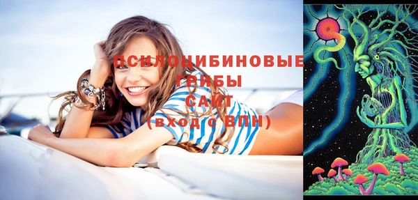 прущий лед Алексин