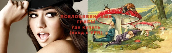 бошки Алексеевка