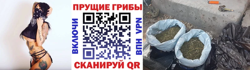 где можно купить наркотик  Кропоткин  Псилоцибиновые грибы MAGIC MUSHROOMS 